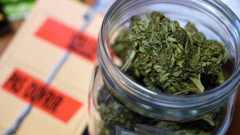 «Une économie qui pèse lourd» : environ 240 000 personnes vivraient du trafic de drogue en France