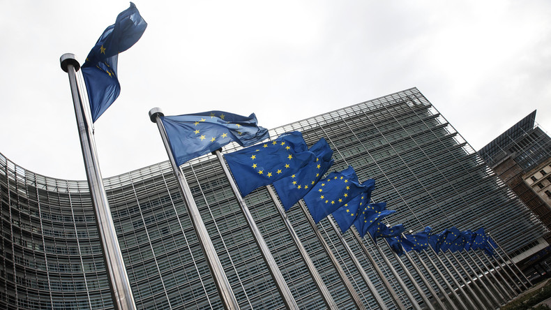 «On sort du cadre de la démocratie» : l'UE va-t-elle mettre en place une «censure» sur les réseaux ?