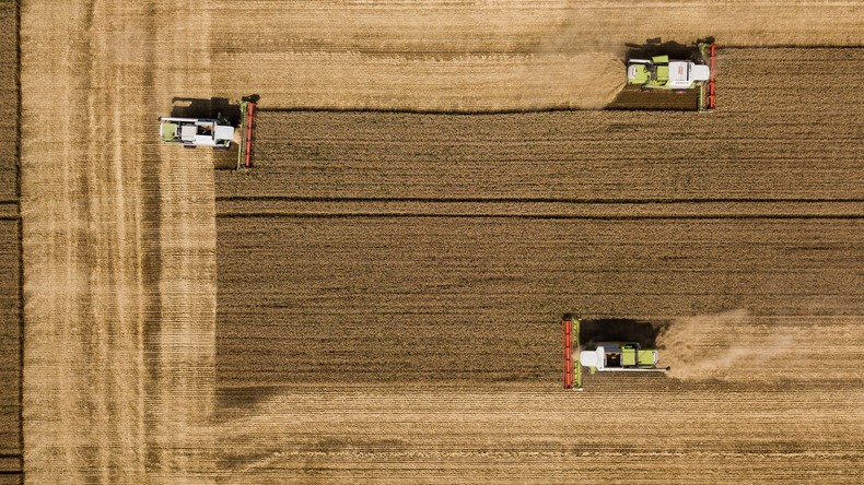 La Russie réalise une percée sur le marché algérien du blé dominé par les exportations françaises