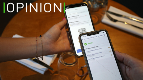 Conseil constitutionnel : la recette du pâté d’alouette