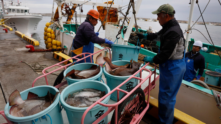 The Times: в 14 раз выше нормы — около Фукусимы выловили радиоактивную рыбу