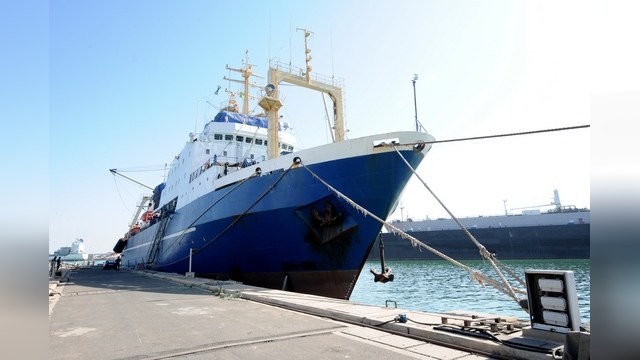 Greenpeace: Интриги экологов в деле «Олега Найденова» - выдумка России