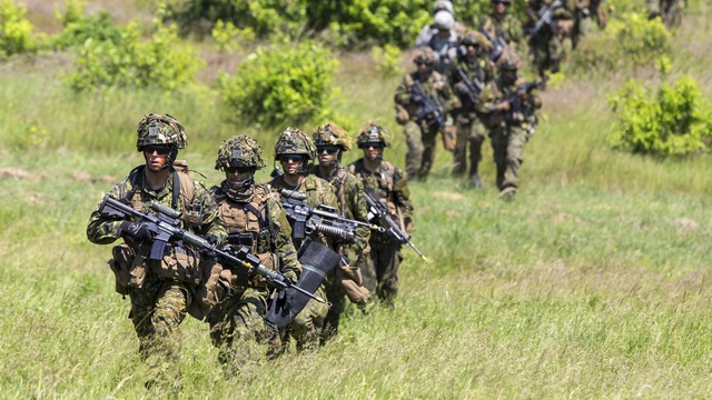 CTV: Отправкой войск на Украину Канада подчеркнет свою антипутинскую позицию