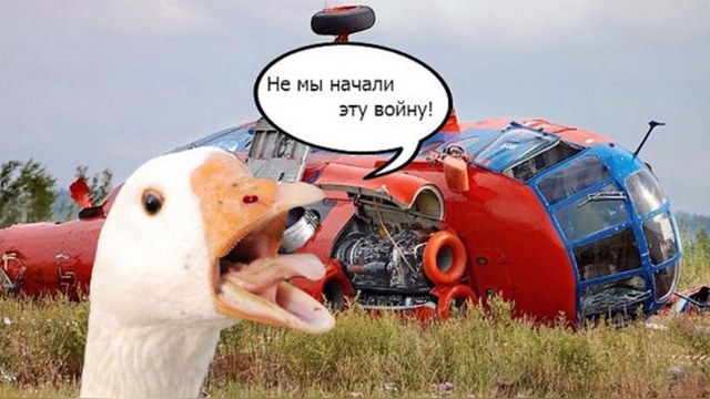 Vocativ: Россияне «отомстили» за раздавленных гусей мемами