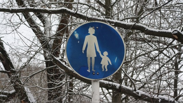 Delfi: Финские органы опеки отняли дочь у россиянки