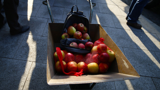 Plus Biznesu: Польские яблоки самые дешевые, но их никто не покупает 