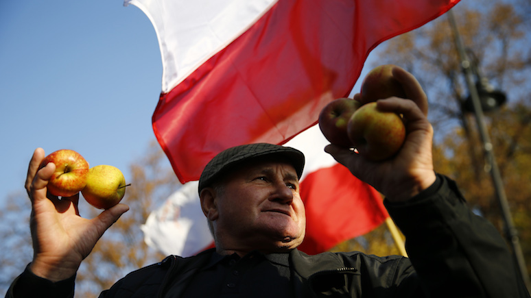 Rzeczpospolita: Россия заскучала по польским яблокам