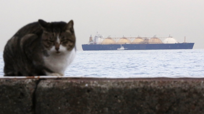 FT: Америка вынуждена греться сибирским газом из-за нехватки газопроводов