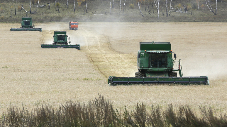Bloomberg: Россия бьёт рекорды по экспорту пшеницы и не собирается останавливаться