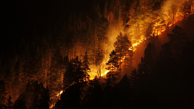 Daily Telegraph предупреждает: лесные пожары в Арктике опасны для климата