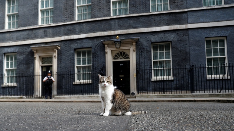 Премьер-министр Англии завёл себе щенка