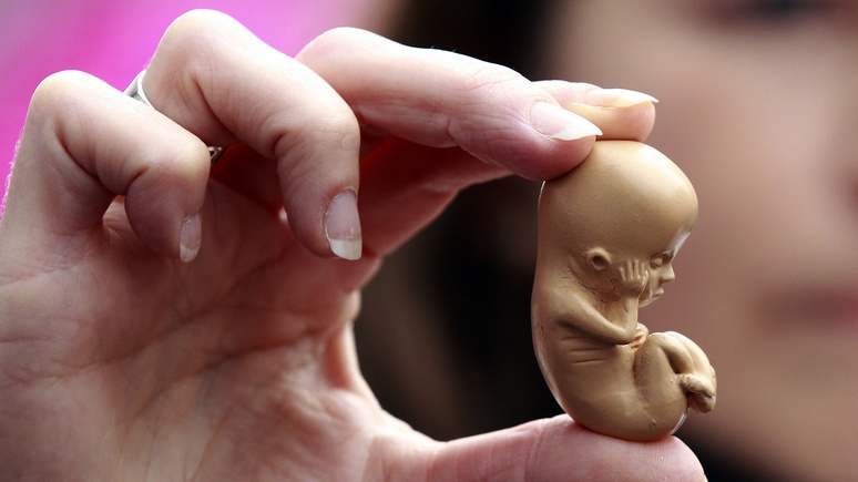 Evening Standard: учёные создали эмбрион-гибрид человека и обезьяны