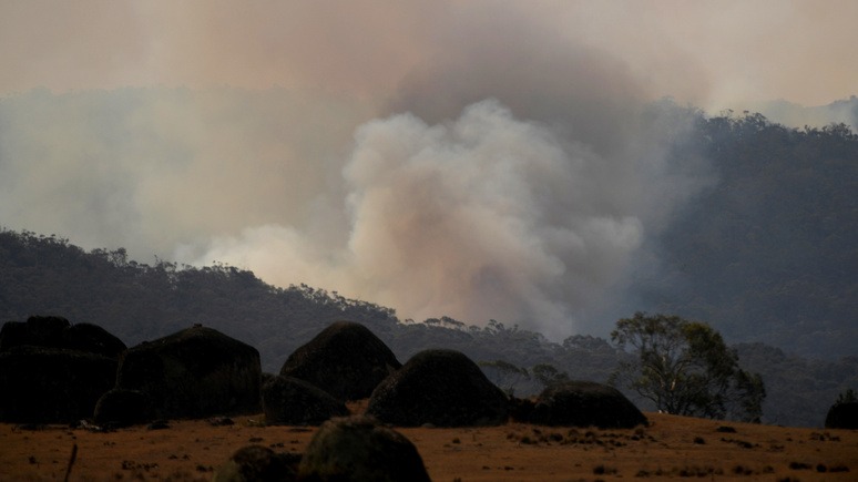 Le Figaro: «австралийское чудо» померкло в дыму пожаров