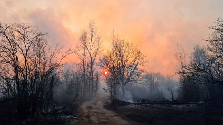 Guardian: из-за лесных пожаров уровень радиации в Чернобыле вырос в 16 раз
