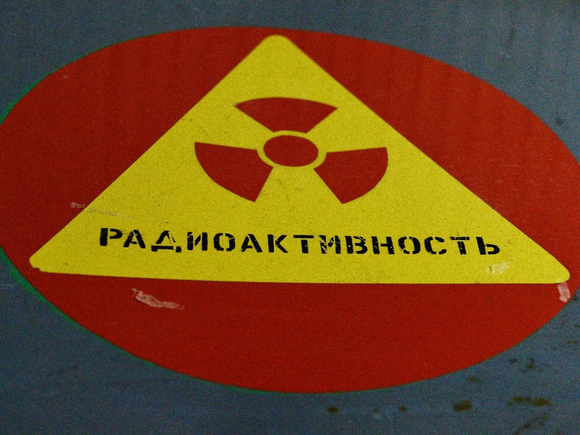 Через 30 лет после Чернобыльской катастрофы коровы всё ещё радиоактивны