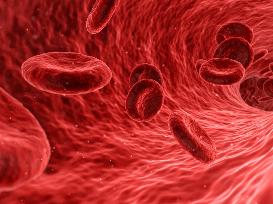 Учёные создали искусственный аналог крови в форме порошка