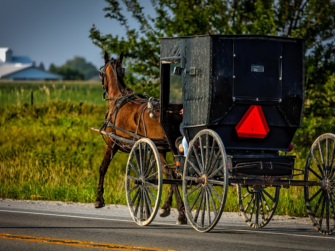 Uber добрался до амишей: в США можно заказать конное такси