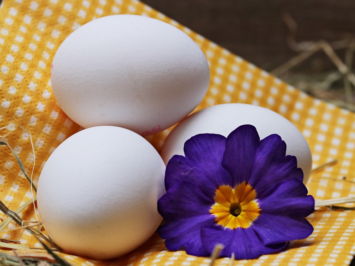 Во всём мире только американцы моют яйца – но зачем?