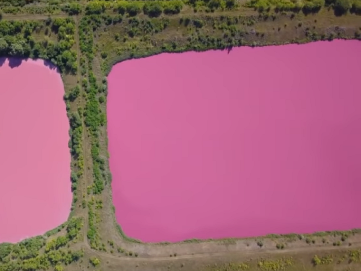 В Самарской области озера окрасились в розовый. Красиво и непонятно (видео)