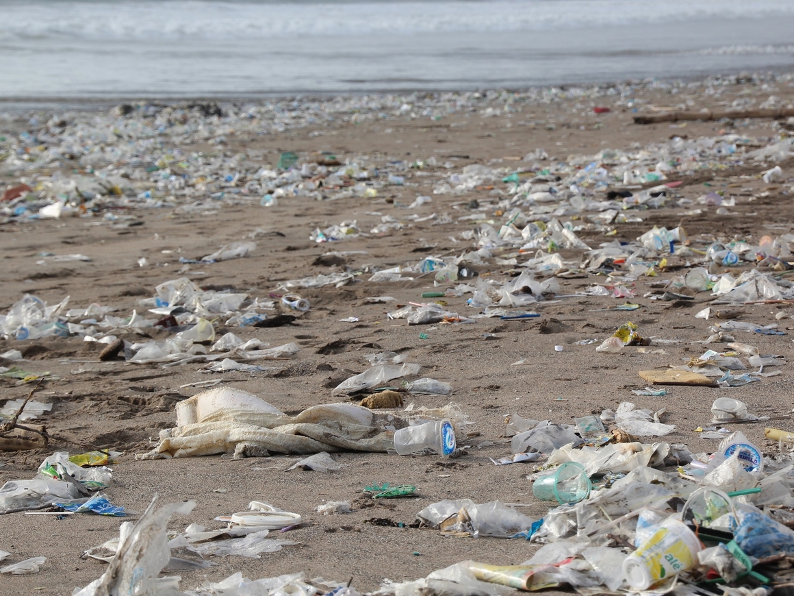 В США пытаются очистить Тихий океан от пластика (видео)