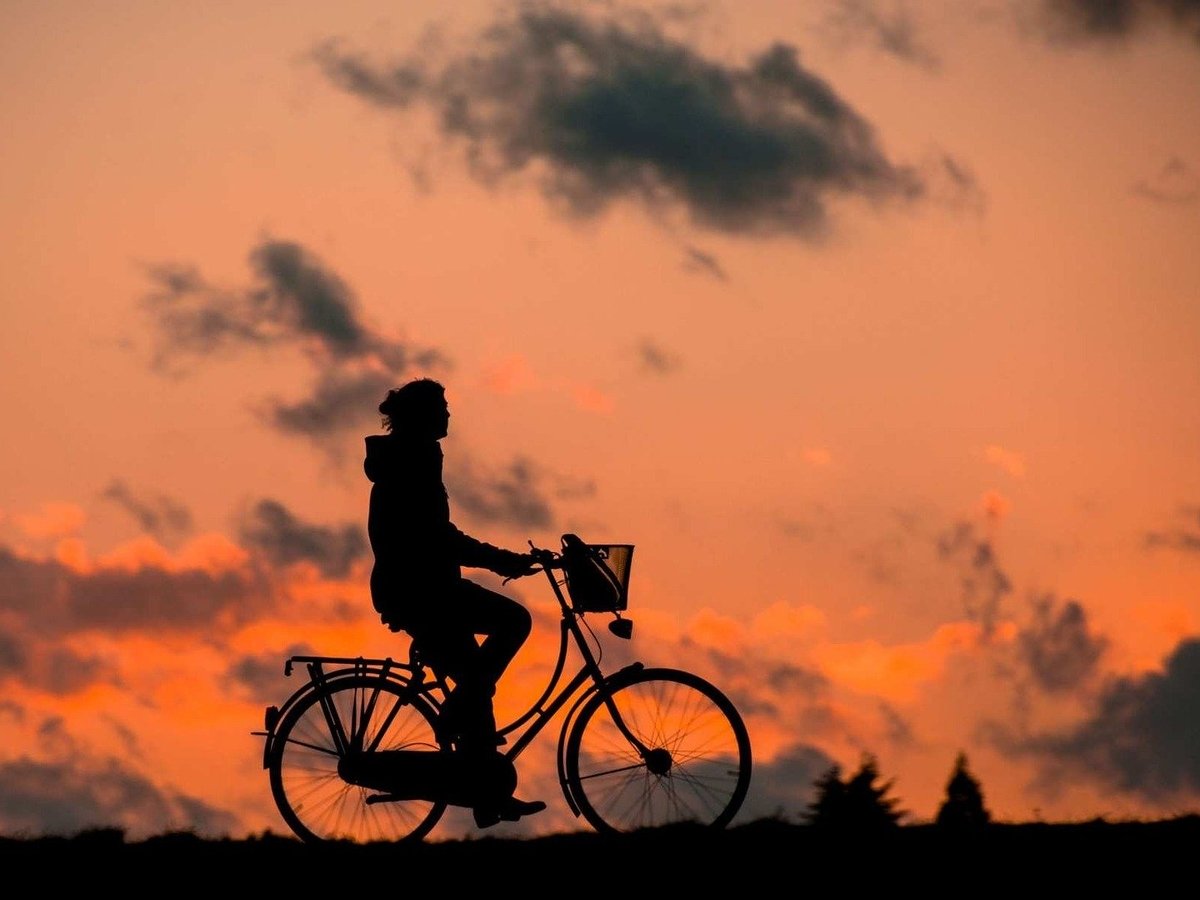 Всё ради мечты: японец украл велосипед и ехал до Токио 1000 км