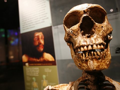 В Китае нашли череп ранее неизвестного вида человека — это прорыв в науке