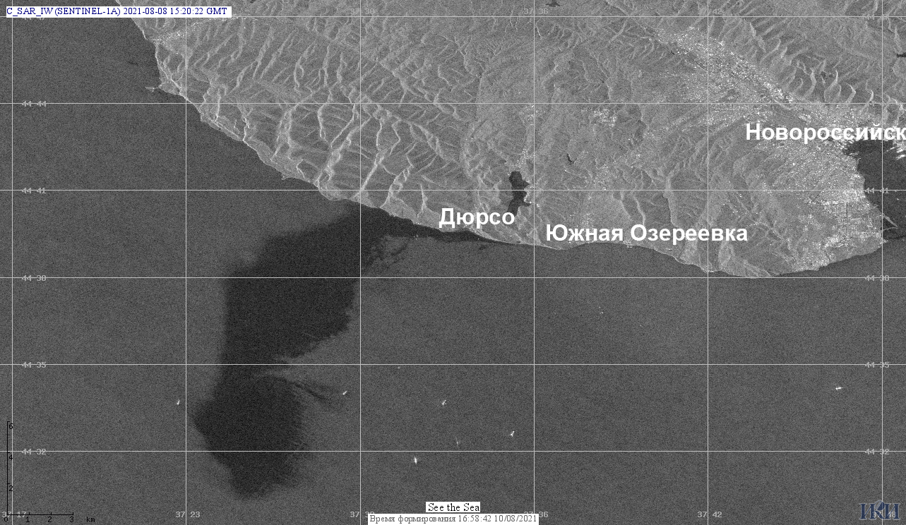 Радиолокационное изображение получили с помощью спутника Sentinel-1