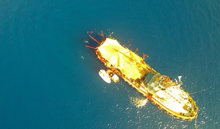 Russian free diving accident Natalia Molchanova