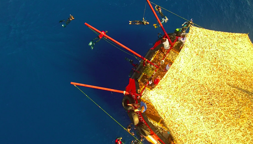 Russian free diving accident Natalia Molchanova