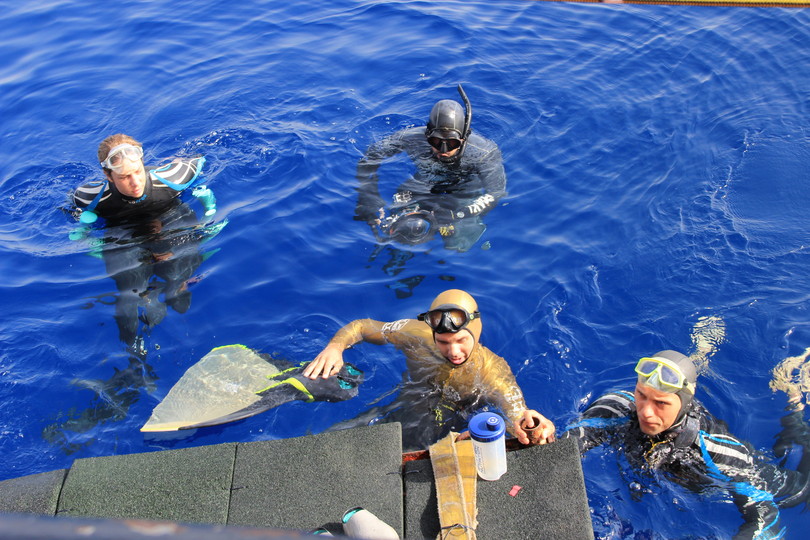 Russian free diving accident Natalia Molchanova