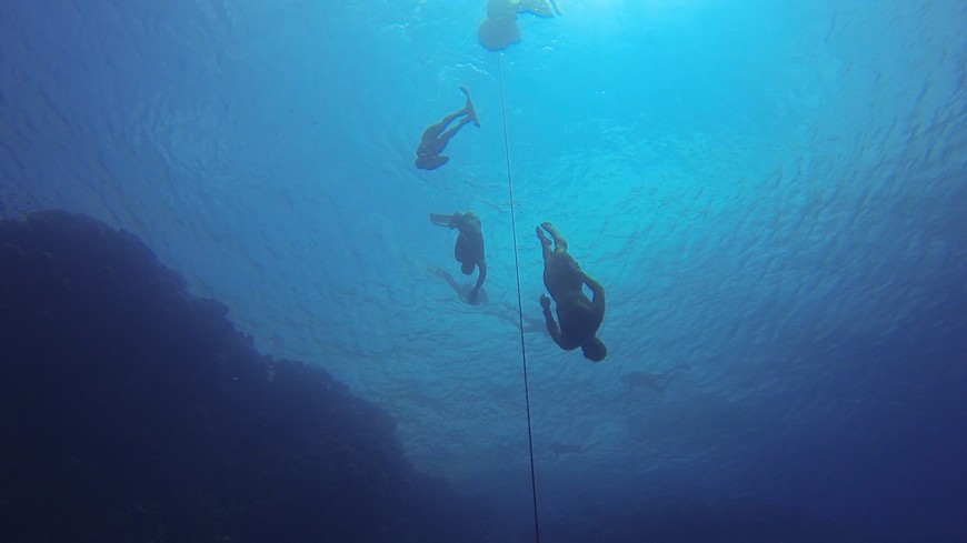 Russian free diving accident Natalia Molchanova