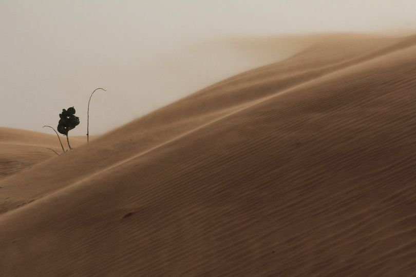 Force feeding girls, a Mauritanian tradition