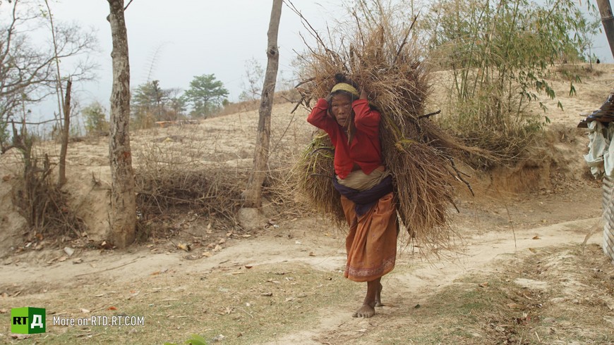 Nepal organ harvesting
