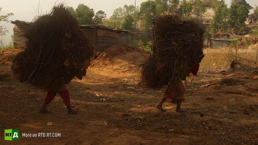Nepal organ harvesting