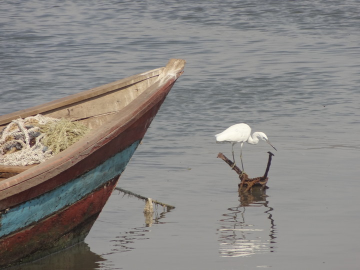 Migingo Island Africa