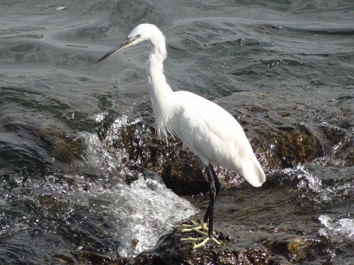 Migingo Island Africa