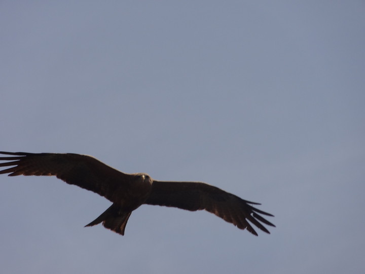 Migingo Island Africa