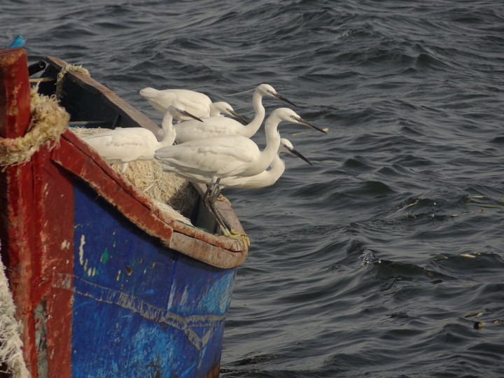 Migingo Island Africa