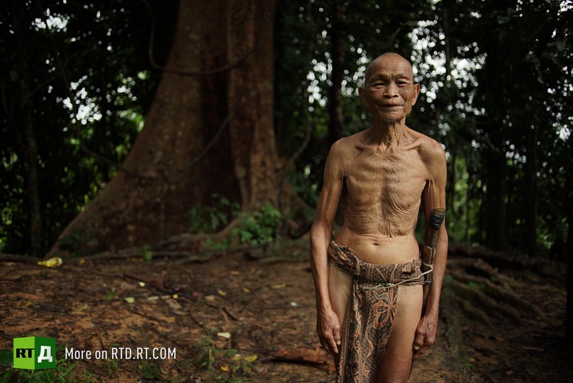 illegal login on Palawan Island, Philippines