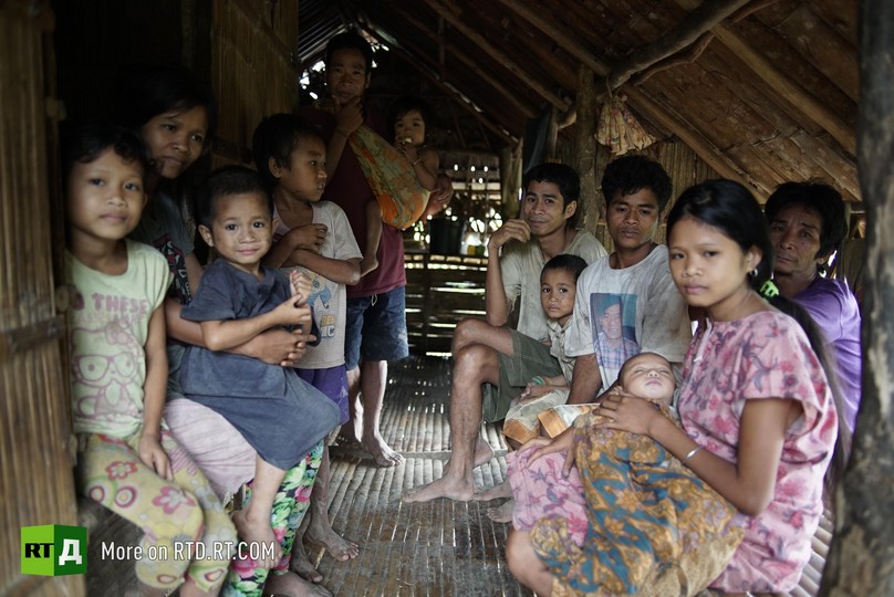 illegal login on Palawan Island, Philippines