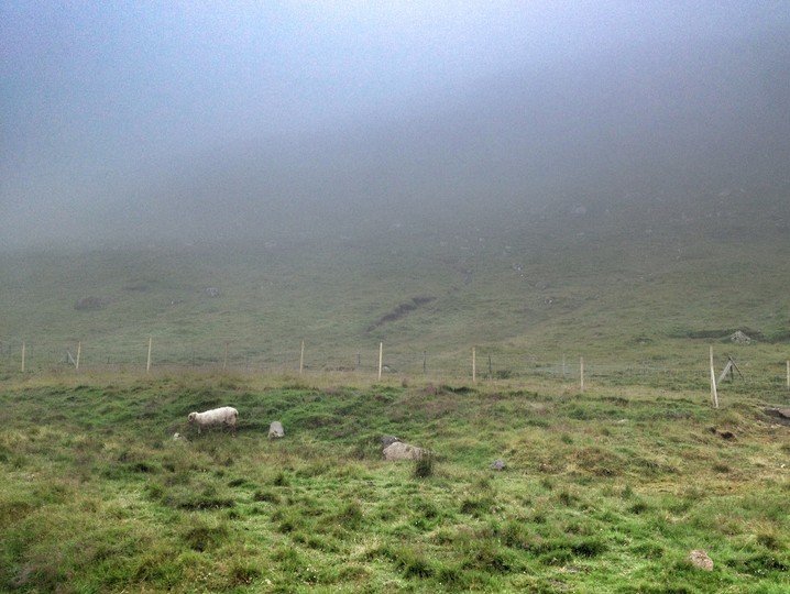 Killing whales tradition on Faroe Islands