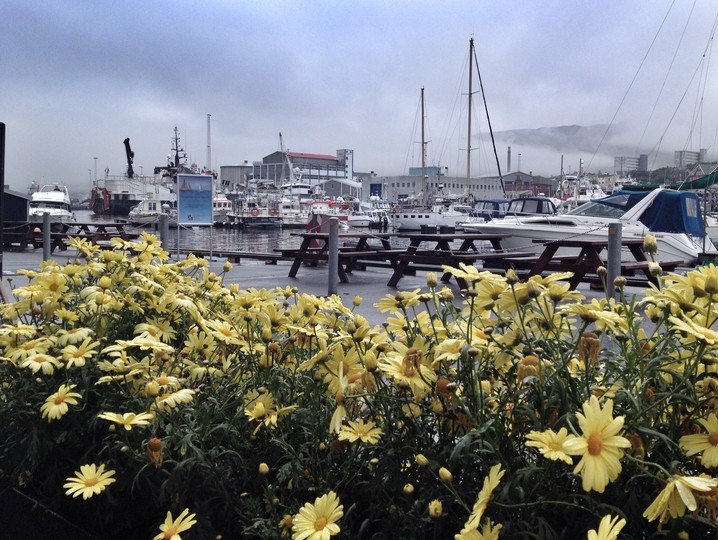 Killing whales tradition on Faroe Islands