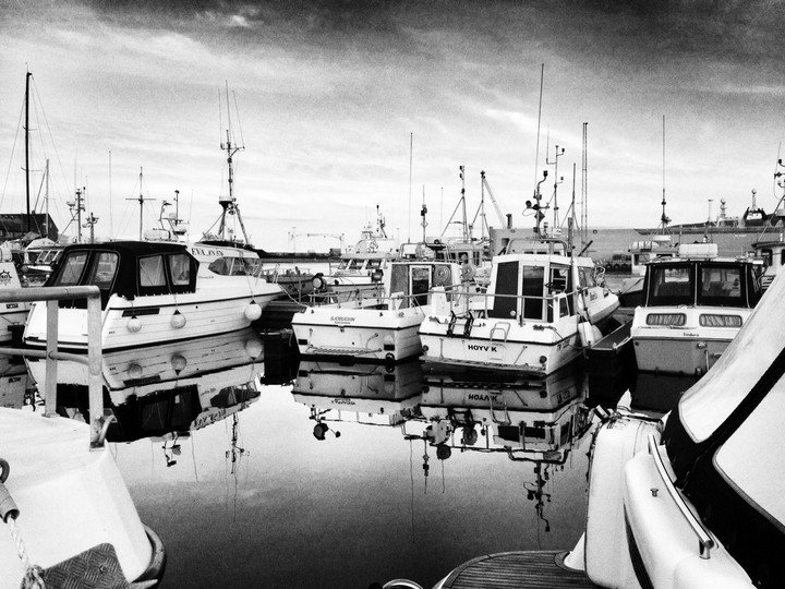 Killing whales tradition on Faroe Islands