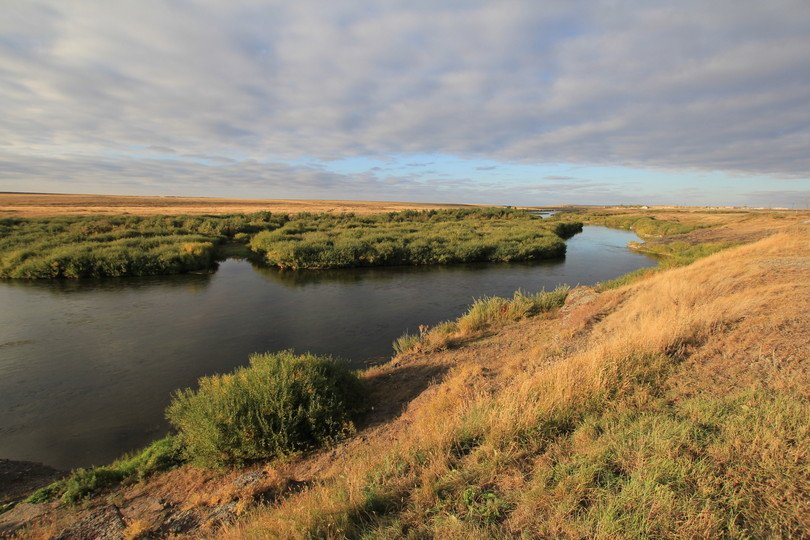 Mysterious sleeping sickness in Kazakhstan