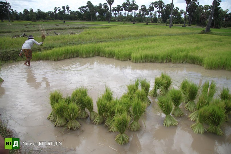 Cambodia garment industry workers' exploitation