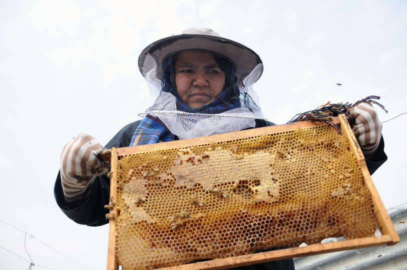 Sara Bohayi Afghanistan's woman taxi driver