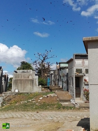 Guatemala City 's Basurero dump