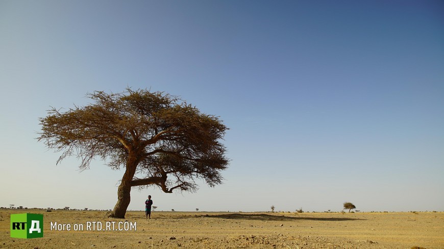 demining Western Sahara