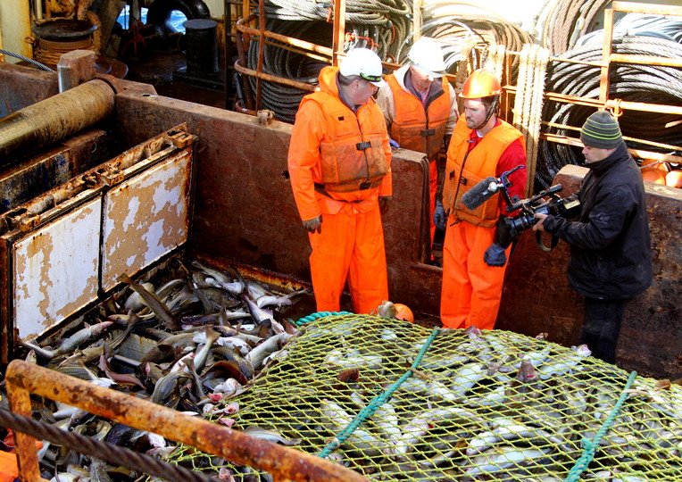 by Evgeny Palashkevich