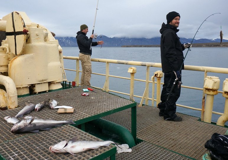 by Evgeny Palashkevich